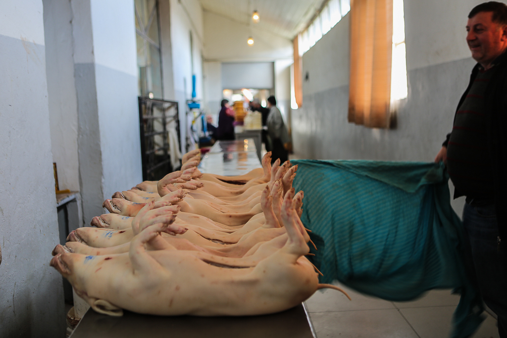 Georgien – vecka nummer tre